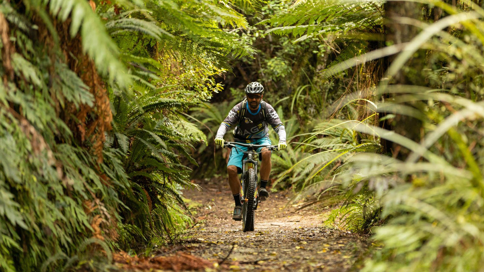 Mountain bike shop trail riding